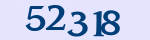 Enter the character string shown in the picture
