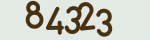 Enter the character string shown in the picture