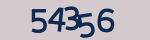 Enter the character string shown in the picture
