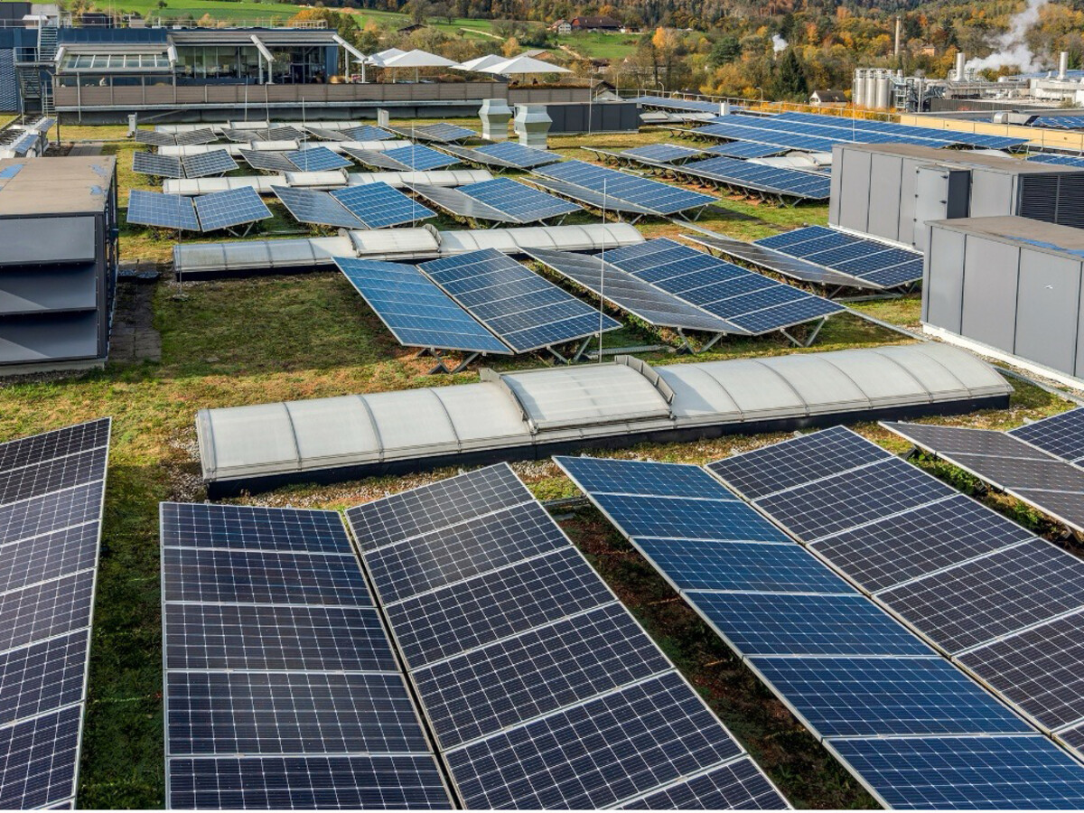 Not All Technology Is the Villain: Why Warehouse Automation Supports Sustainability